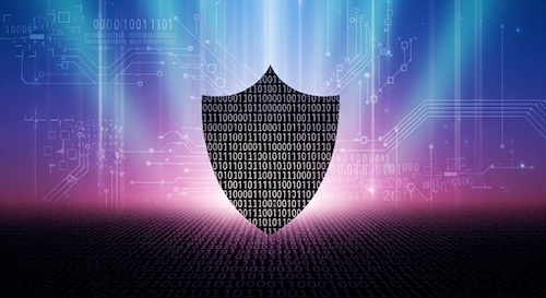 Cybersecurity shield and network monitoring